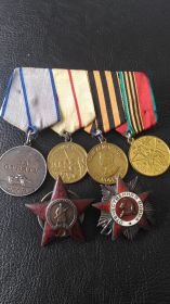 Орден Красной Звезды;Медаль за оборону Сталинграда;Медаль за победу над Германией;Медаль Жукова;Орден Отечественной войны 2 ст.
