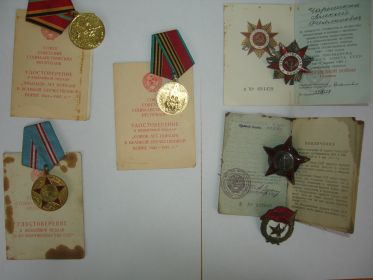 Орден отечественной войны I-й степени, орден Красной Звезды, орден Красного знамени, юбилейные медали.