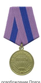 2 медаль за боевые заслуги, 1орден красной звезды, орден отечественной войны|| степени , медаль за победу над Германией, медаль за освобождении праги