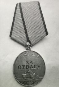 Медалью за отвагу.