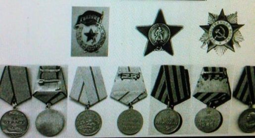 Медаль «За оборону Сталинграда», Орден Отечественной войны I степени, Медаль «За оборону Ленинграда»