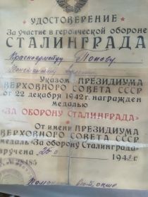Медаль "За Оборону Сталинграда"