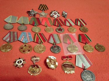 Орден Красной Звезды, орден Славы-3 ст.,орден Отечественной войны,медаль за боевые заслуги,за оборону Сталинграда.