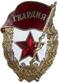 Нагрудный знак «Гвардия»