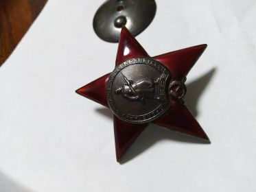 Орден красной звезды за особые заслуги, медаль за оборону Кавказа.