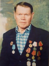 Медаль "За оборону Заполярья", орден Великой Отечественной войны 2 степени и др.