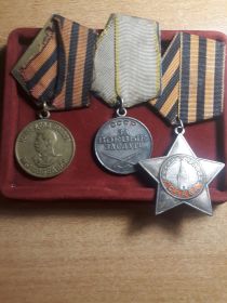 орден Славы III степени, медаль "За боевые заслуги",медаль "За победу над Германией"