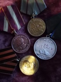 Медаль "За Отвагу" (2891883),Медаль "За Оборону Сталинграда", медаль "За победу над Германией в ВОВ", медаль "За доблестный труд в ВОВ"