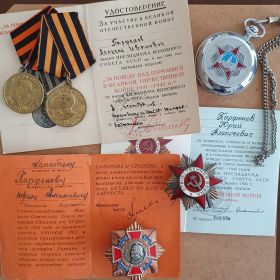 2 медали за Победу над Германией, Орден Отечественной Войны 1 степени , Орден Суворова 2 степени и многие другие