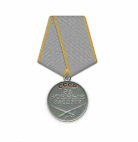 «Медаль за боевые заслуги»