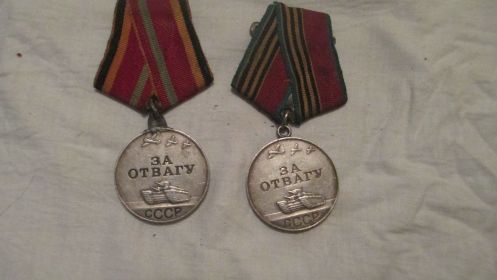 Медаль «За отвагу», Орден Отечественной войны II степени, Медаль «За победу над Японией»