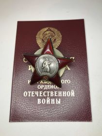 орден отечественной войны 2 степени, медаль  за взятие Берлина,медаль за победу над Германией в Великой Отечественной войне 1941-1945в