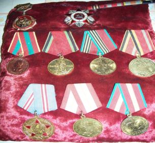 Награждён медалями «За взятие Берлина», «За победу над Германией»  и многими юбилейными наградами.