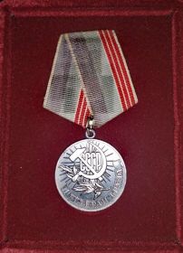 медаль Ветеран труда.