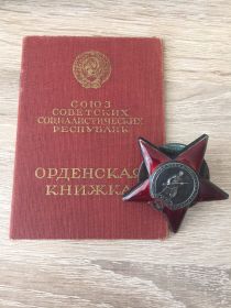 Орден Красной Звезды