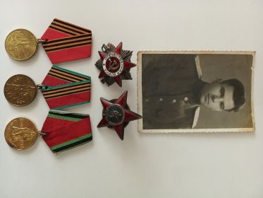 Орден Отечественной войны 1 степени, Орден Красной звезды, медаль "За Победу над Германией в ВОВ" и др. юбилейные награды