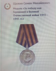 Медаль "За победу над Германией в Великой Отечественной войне 1941-1945