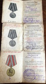 Орден Великой Отечественной войны 2 степени ,медалью за Японию