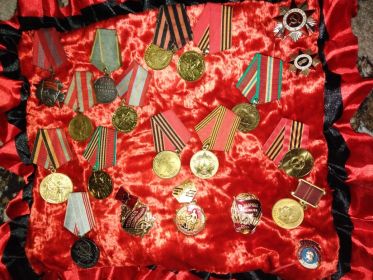 Награжден Медалью "За боевые заслуги"за подвиг 29.09.1943 года. Орденом Отечественной войны 3 степени. Медаль "За победу над Германией" Орден Октябрьской револю...