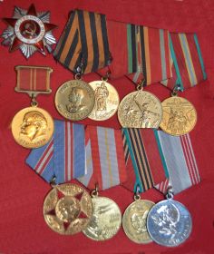 медаль" за победу над Германией в Великой Отечественной Войне", Орден "Отечественной Войны"II степени