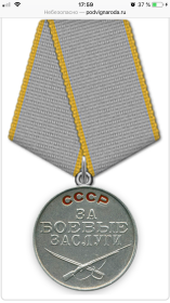 Медаль « За боевые Заслуги»