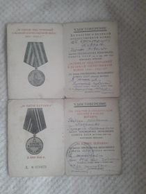 Медаль за взятие Берлина, медаль за участие в ВОВ