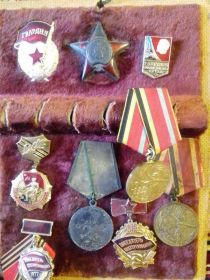 медалью «За Отвагу».