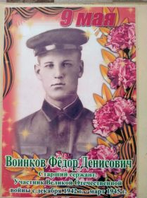 Орден славы 3 степени. Медаль за взятие Вены и др