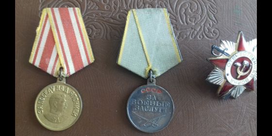 медаль "За боевые заслуги", медаль "За победу над Японией", орден Отечественной войны 2 степени