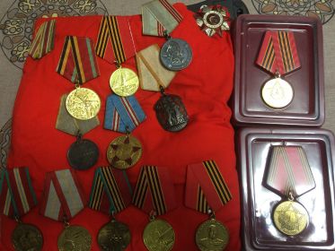 Медаль «Ветеран труда», медаль «За военные заслуги», орден «Знак почета»