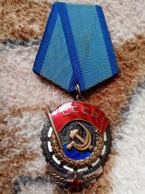 Орден Трудового Красного знамени.