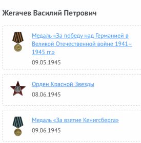 Медаль «За победу над Германией в Великой Отечественной войне 1941-1945 гг.»; орден Красной Звёзды; Медаль «За взятие Кёнигсберга»