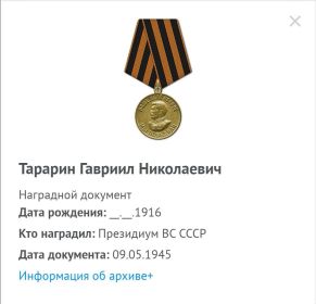 Медаль за победу над Германией