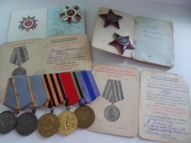 Медаль «За освобождение Праги»? Медаль «За победу над Германией в Великой Отечественной войне 1941–1945 гг.» Медаль «За боевые заслуги» Орден Красной Звезды