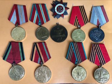 Награждён:- орден Великой Отечественной войны - медаль Георгия Жукова - и юбилейные медали.