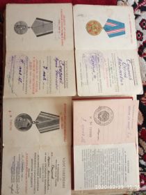 Медаль «За оборонуМосквы», медаль «За победу над Германией в ВОВ 1941-1945гг, медаль « За отвагу»