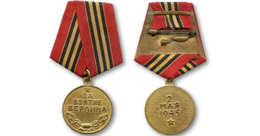орден Боевого Красного Знамени,  медали «За Отвагу», «За оборону Сталинграда», «За взятие Берлина».