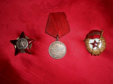 Медаль "За боевые заслуги" ; Орден "Красной Звезды"