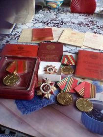 орденом отечественной войны, Медаль за отвагу, Медаль за победу над Германией
