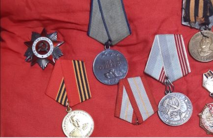 Медаль за отвагу, орденом отечественной войны второй степени, медаль за победу над Германией 1941-1945, медалью Георгия Жукова и т. д.