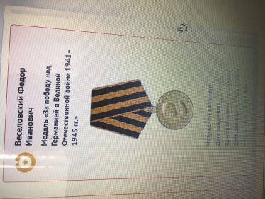 Медаль «За победу над Германией в ВОВ 1941-1945 гг.»