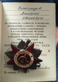 Орден Отечественной Войны 2 степени