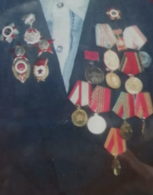 2 красные звезды, медаль "За отвагу", "За оборону Москвы", был представлен к ордену Славы третьей степени, но его он так и не получил