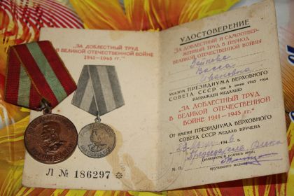 Медаль  Президиума Верховного Совета СССР "За Доблестный труд в Великой Отечественной Войне 1941 - 1945 г"
