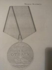 Медаль"За боевые заслуги", "За отвагу".