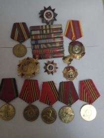 2 ордена Красной звезды и 17 медалей за стойкость и мужество