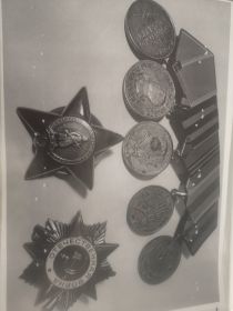 Орден "Крассная ЗВезда", медаль за боевые заслуши, медаль за освобождение Варшавы, медаль за взятие Берлина, медаль за Победу над Германией.