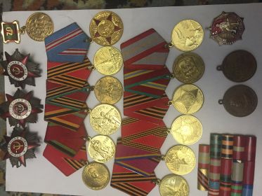Ордена « Отечественной войны I,II степеней», медаль « За взятие Кёнигсберга», медаль « За Победу над Германией»