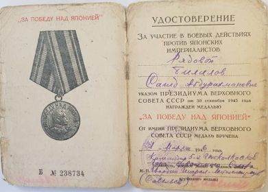 Медали  «За победу над Японией», «За победу над Германией в Великой Отечественной войне 1941-1945 гг.», а так же «Орден Отечественной войны II степени».