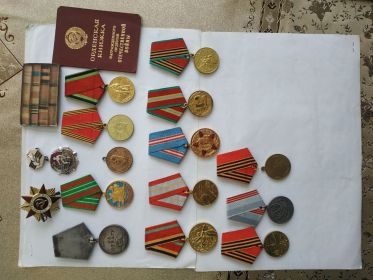 Медаль "За отвагу", "Орден Отечественной войны", медаль «За победу над Германией в Великой Отечественной войне 1941—1945 гг.»